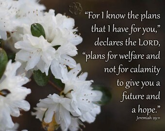 For I Know the Plans I Have For You - Jeremiah 29 11 - White Azalea Picture - Christian wall art, Bible verse art, Scripture art, religious