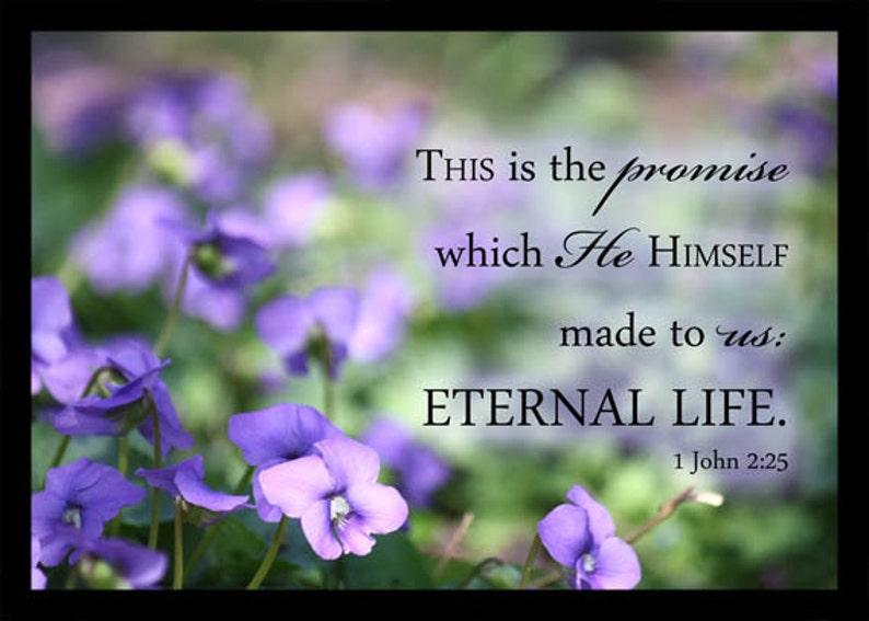 Bible Verse Art Violet Flower Photograph 1 John 2 verse 25 Etsy