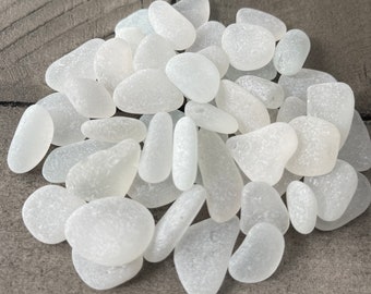 Vaso Lake Erie Beach 50 piezas