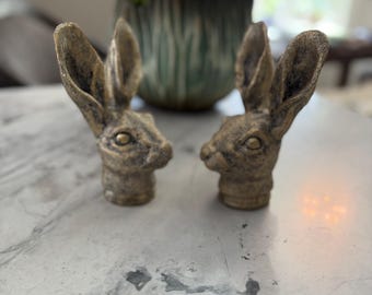 Conejos Liebre Caprichosos x 2