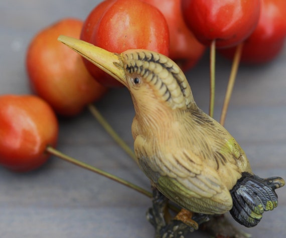 Vintage Celluloid Kookaburra Pin