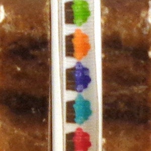 May include: A white ribbon with a repeating pattern of colourful cupcakes. Each cupcake is a different colour: red, green, orange, purple, blue, red, green. The cupcakes are outlined in black.