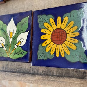 12 Mexicaanse Talavera-tegels handgemaakt, met de hand geschilderd 4 &quot;X 4&quot;