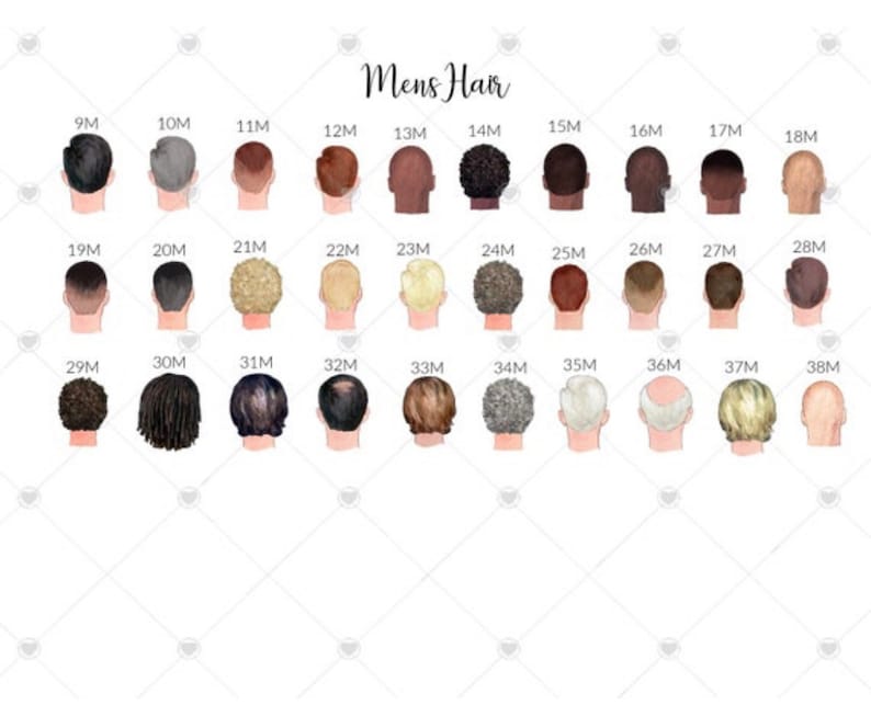 Puede incluir: Ilustraci&oacute;n que presenta una variedad de peinados masculinos, numerados del 9M al 38M. La imagen muestra diferentes colores, texturas y longitudes de cabello, incluyendo cortes cortos, rizados y entradas. El texto "Mens Hair" est&aacute; en la parte superior.