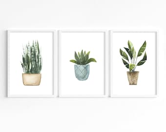 Set of 3 Botanical Plant Prints, Leaf Prints, Potted Plant Prints, Home Decor, Botanical illustrations, Home Prints, House plants, Wall Art