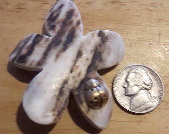 Elk antler pendant with brass ladybug