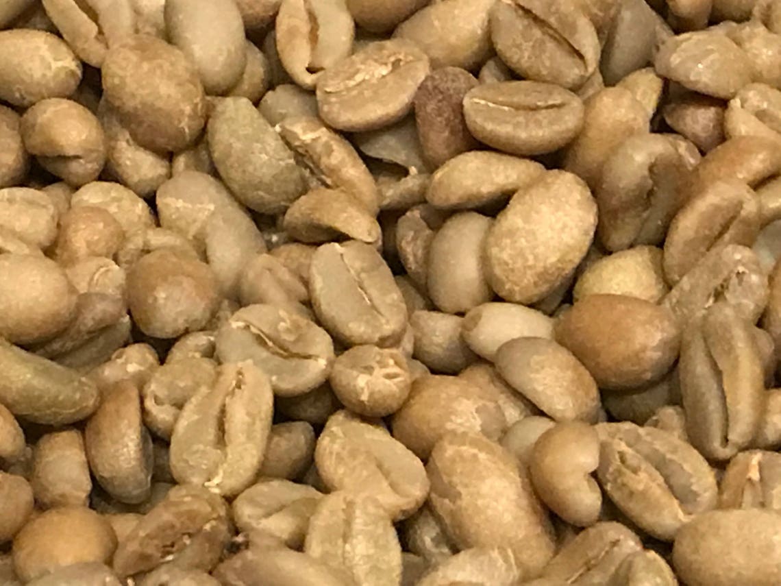 Green Coffee Beans 10 Pounds Ethiopia Sidama Ardi. Natural Process Etsy