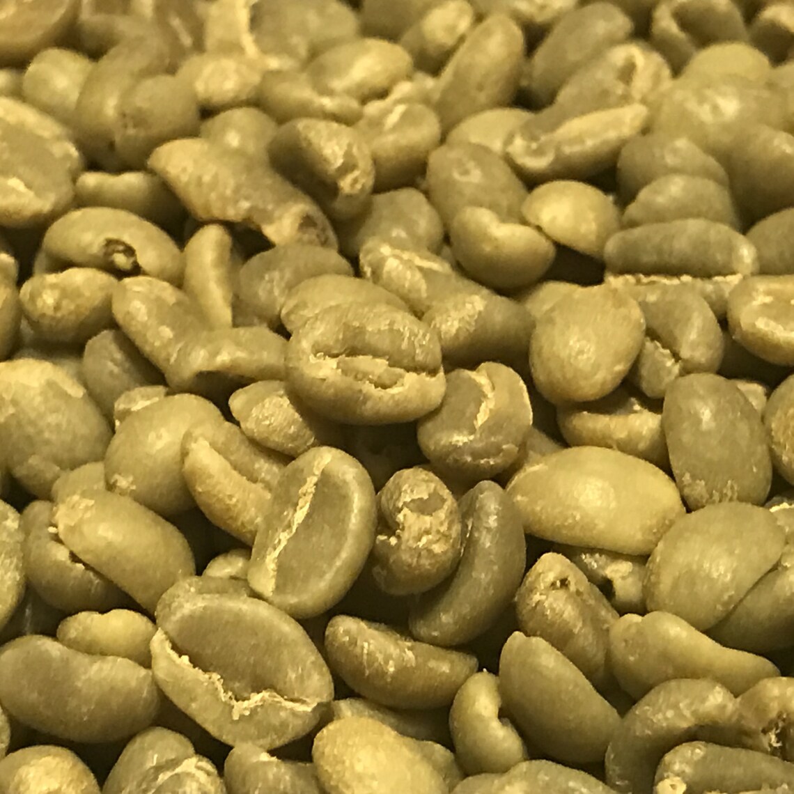 Green Coffee Beans 5 Pounds Ethiopia Yirgacheffe Washed Etsy