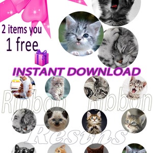 INSTANT DOWNLOAD- Cats Digital Bottle Cap Images - 1&quot; Bottle Cap Images 4x6-  Buy 2 get 1 Free