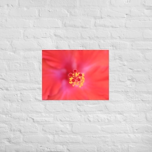 Red Hibiscus Poster, Photography Print