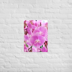 Orchids Poster, Photography Print