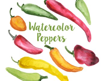 watercolor lettuce lettuce clip art salad clipart veggie etsy