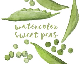 watercolor lettuce lettuce clip art salad clipart veggie etsy