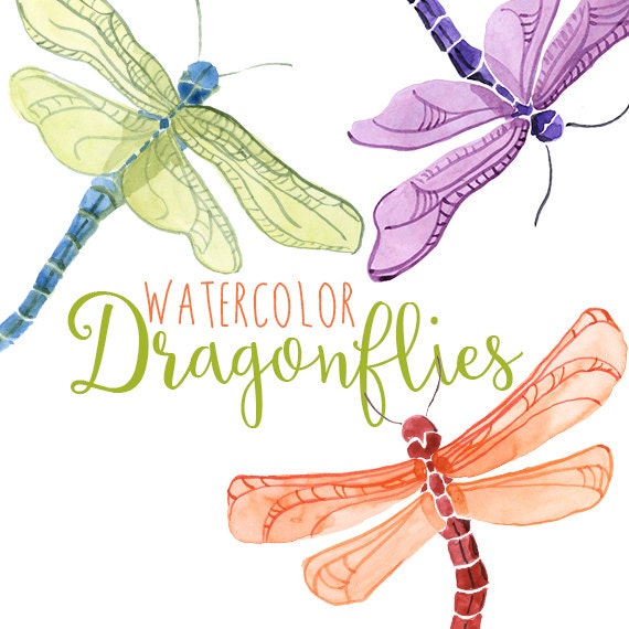 Watercolor Dragonflies Dragonfly Clip Art Spring Insect | Etsy