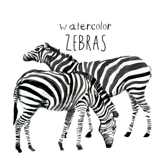 zebra clip art black and white