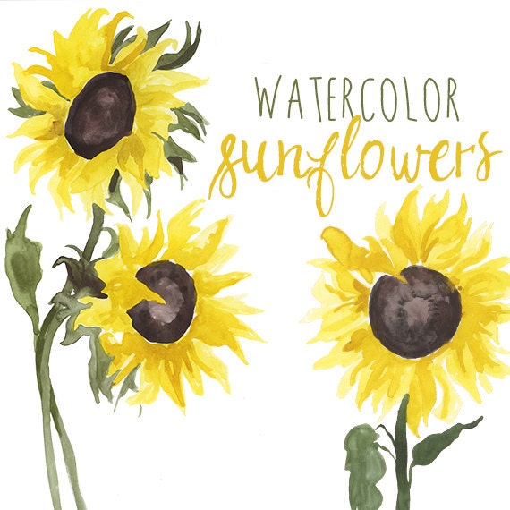 Download Watercolor Sunflower Clip Art Floral Summer Clipart Etsy