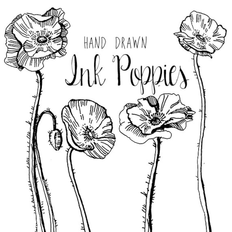 Dessin fleur pavot Clipart fleurs Clip Art Digital Clipart ... Dessin fleur pavot Clipart fleurs Clip Art Digital Clipart ...