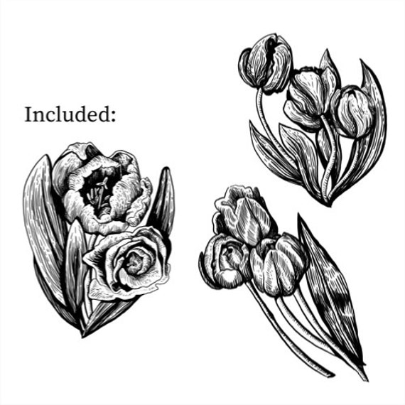 Dutch Tulip Drawing Clipart