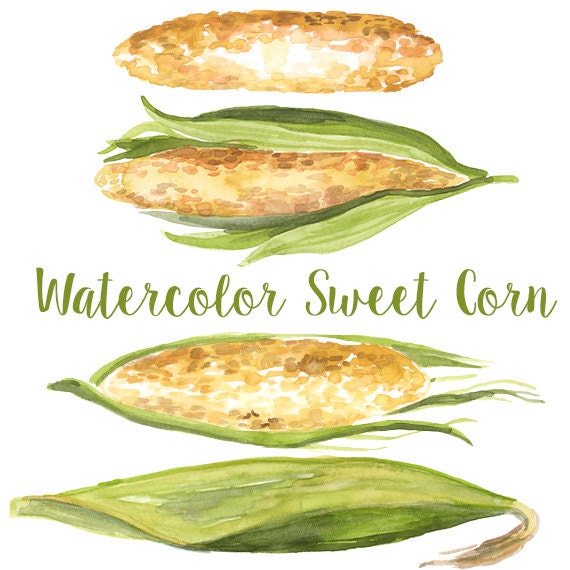 Watercolor Sweet Corn Corn Clip Art Corn Clipart Iowa Etsy