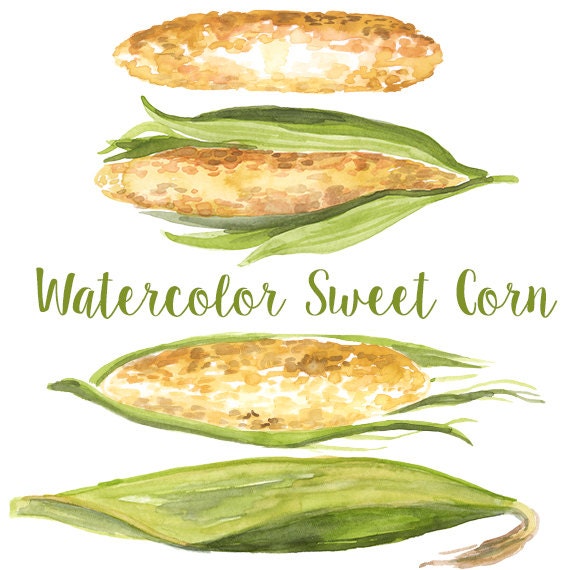 Watercolor Sweet Corn Corn Clip Art Corn Clipart Iowa Etsy Watercolor Sweet Corn Corn Clip Art Corn Clipart Iowa Etsy
