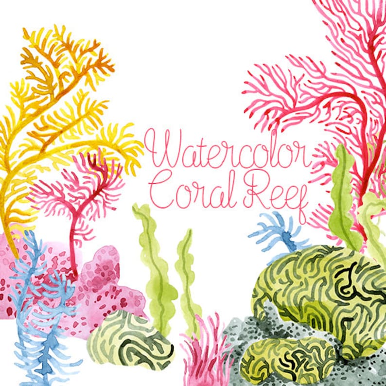 Watercolor Coral Reef Corals Clip Art Coral Reef Clipart - Etsy Norway