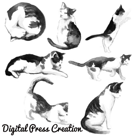7 Gatti di kitty Cat Photoshop pennelli photoshop pennello | Etsy Italia