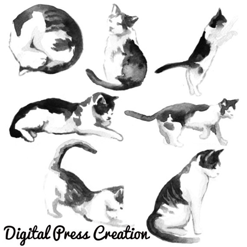 7 Kitty Cat Brushes Cats Brush Pets Cute Etsy
