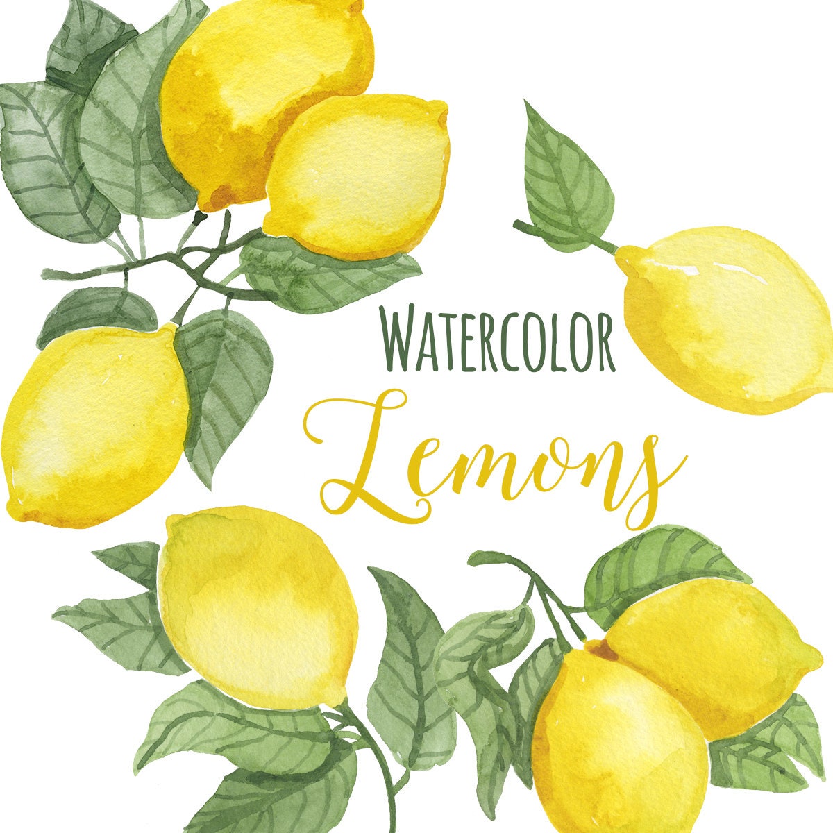 watercolor-lemon-clip-art-trendy-lemon-leaves-clipart-lemons-etsy