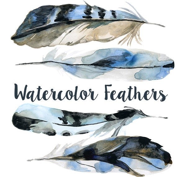 Bluejay Feather Clip Art Clipart Feather Clipart Feathers Etsy