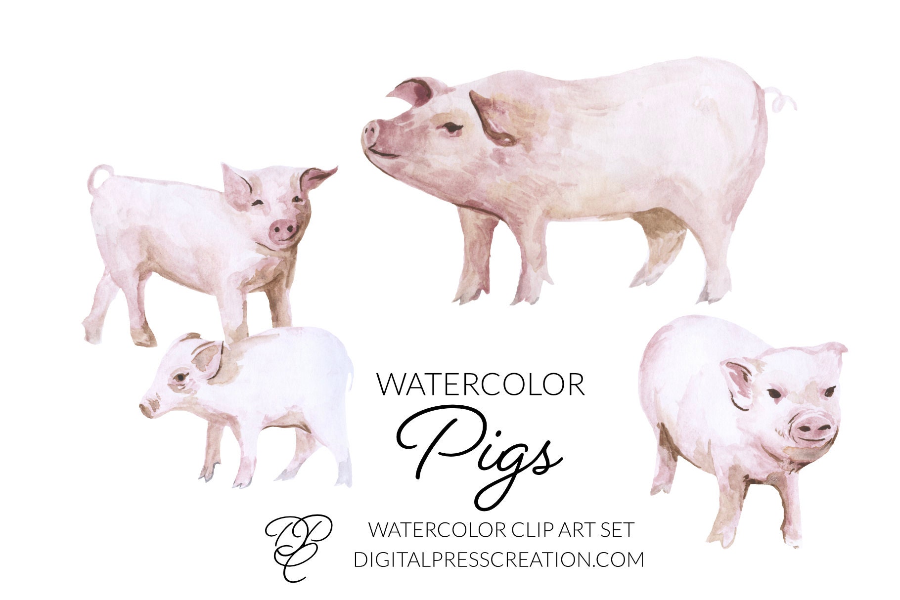 Watercolor Pigs Clipart Set Digital Clip Art of Pink Baby - Etsy UK