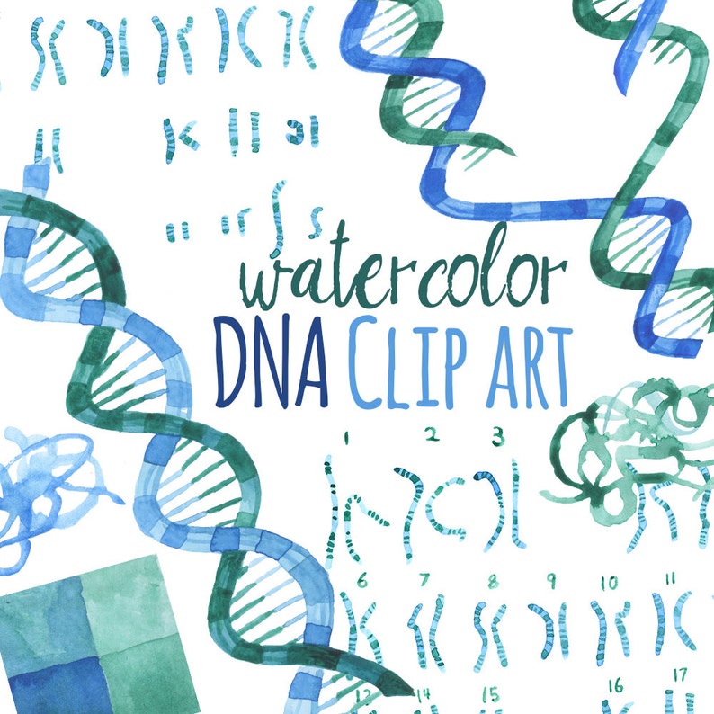 RNA Illustrations Science watercolor art Watercolor DNA clip art Chromosones art DNA Genetics artwork Watercolor Science Artwork
