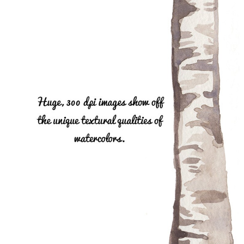 Custom Watercolor Birch Heart Trees Carving Clipart Wedding | Etsy