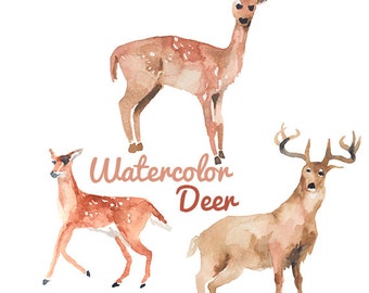 Watercolor Deer Clip Art Image Pack Clipart Digital Download Deers Clipart Scrapbooking Hunting Digital