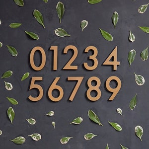 ONE 4&quot;H or 6&quot;H Brass Magnetic Address Number (Free Shipping)