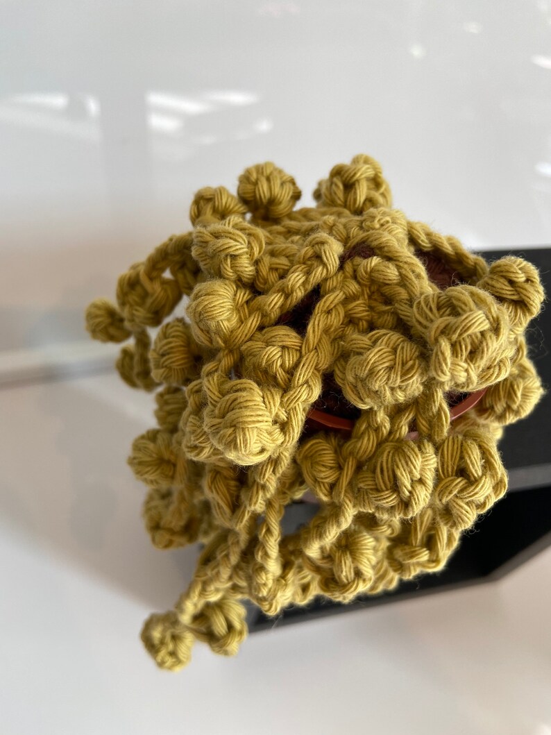 plants you can\u2019t kill Handmade crochet hanging succulentcactus string of pearls