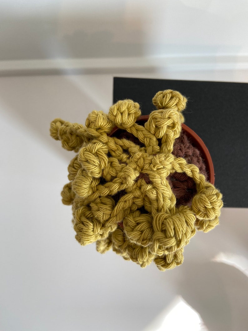 plants you can\u2019t kill Handmade crochet hanging succulentcactus string of pearls