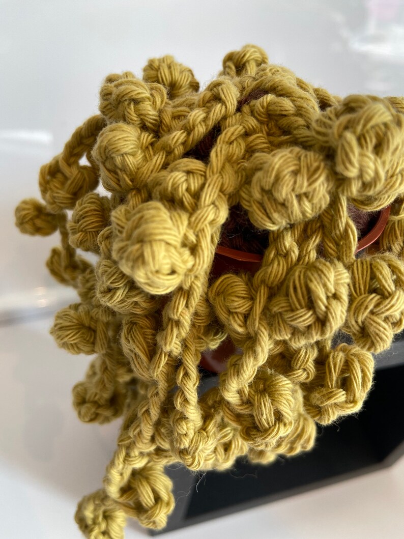 plants you can\u2019t kill Handmade crochet hanging succulentcactus string of pearls