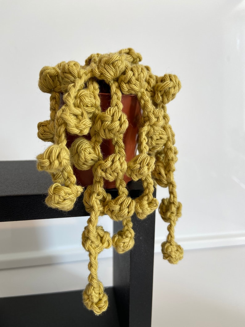plants you can\u2019t kill Handmade crochet hanging succulentcactus string of pearls