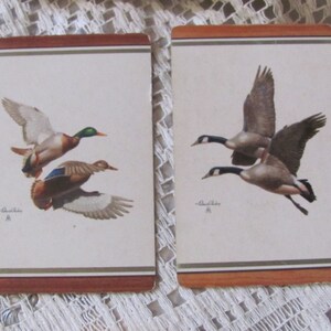 2 carte da gioco vintage retrò da collezione Single Swap Metallic Gilt - Uccelli Oche Anatre Richard Bishop Cards **SPEDIZIONE GRATUITA**