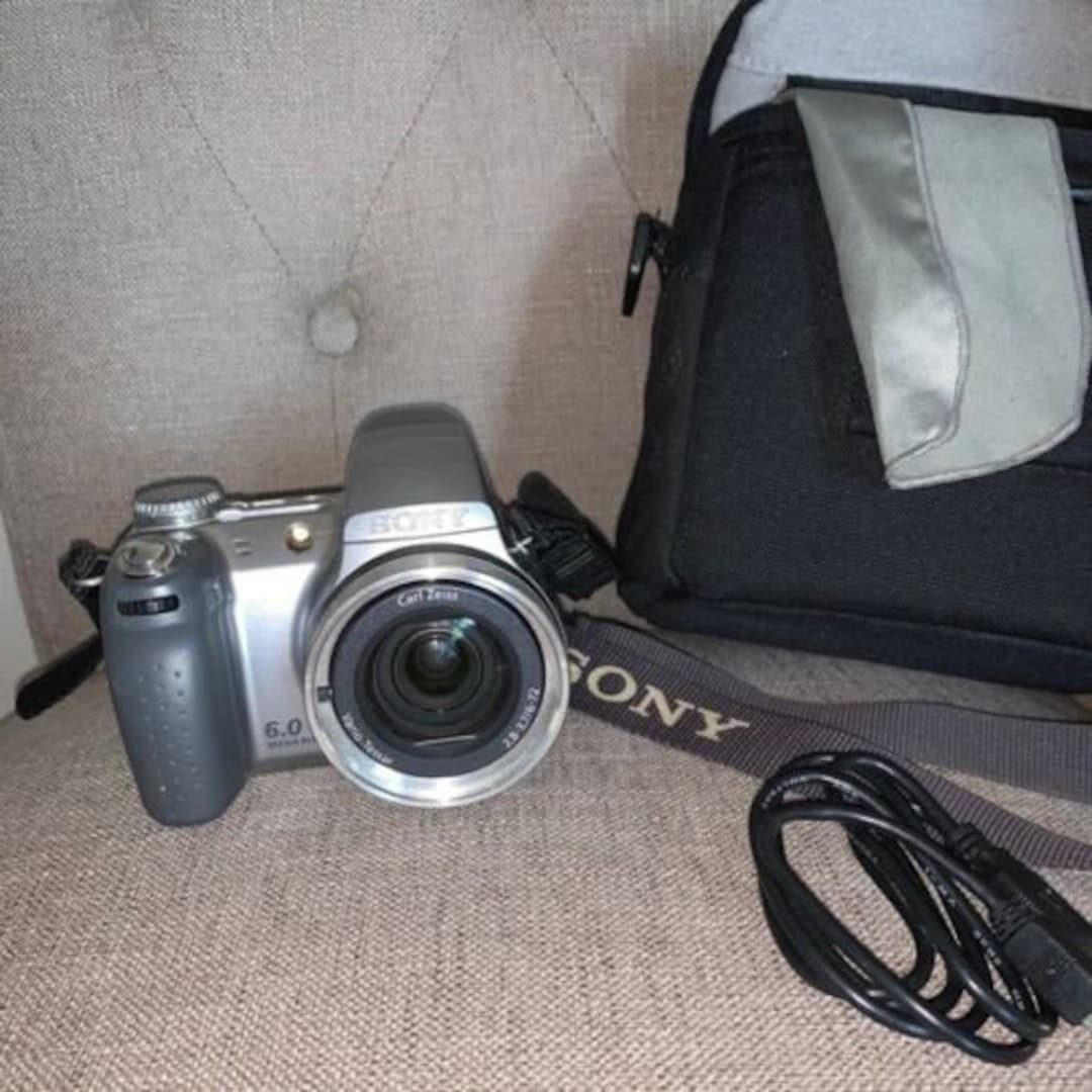 Sony Cyber Shot DSCH2 6MP Digital Camera 12x Optical Cameracordbag