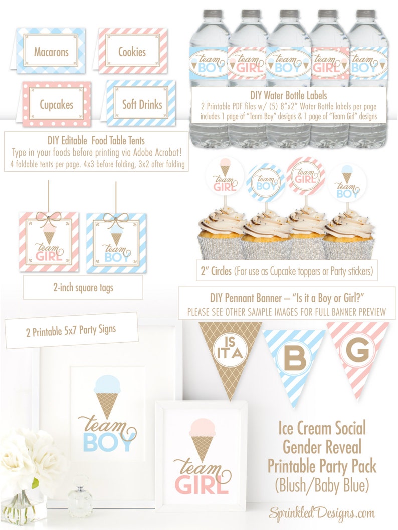 Ice Cream Social Gender Reveal Party Printable Decorations Etsy