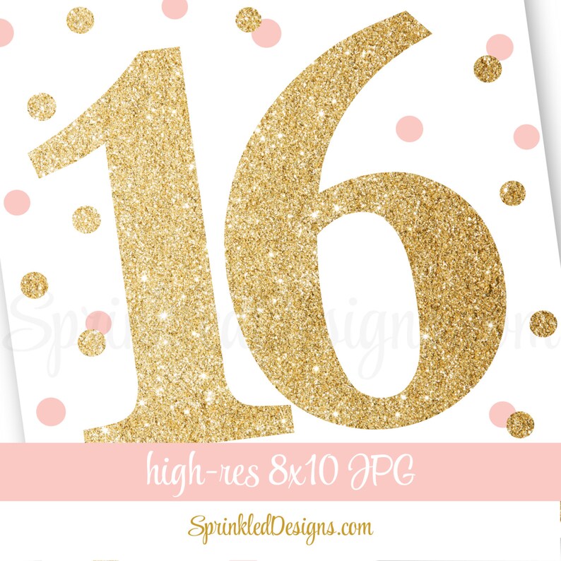 Sweet 16 Birthday Party Sweet Sixteen Birthday Number 16 Etsy