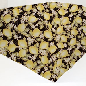 Lemon Blossoms Cover Compatible with Ninja Foodi Grill and Griddle