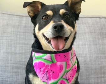 Watermelon Dog Bandana / Summer Fruits Dog Bandanas