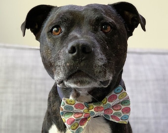 Hole In One Dog Bowtie / Donut Dog Bow Tie / Dog Bowties