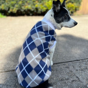 May include: A black and white dog wearing a blue and gray argyle patterned fleece sweater.
