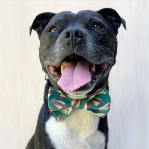 Bunnings dog coat clearance