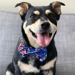 Aussie Flag Dog Bow Tie / Australische Vlag Hond Bowtie