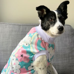 Puede incluir: Un perro blanco y negro con un pijama de color turquesa y rosa con estampado de arcoíris y nubes.