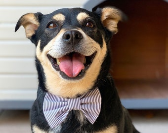 Boardwalk Dog Bowtie / Striped Dog Bow Ties